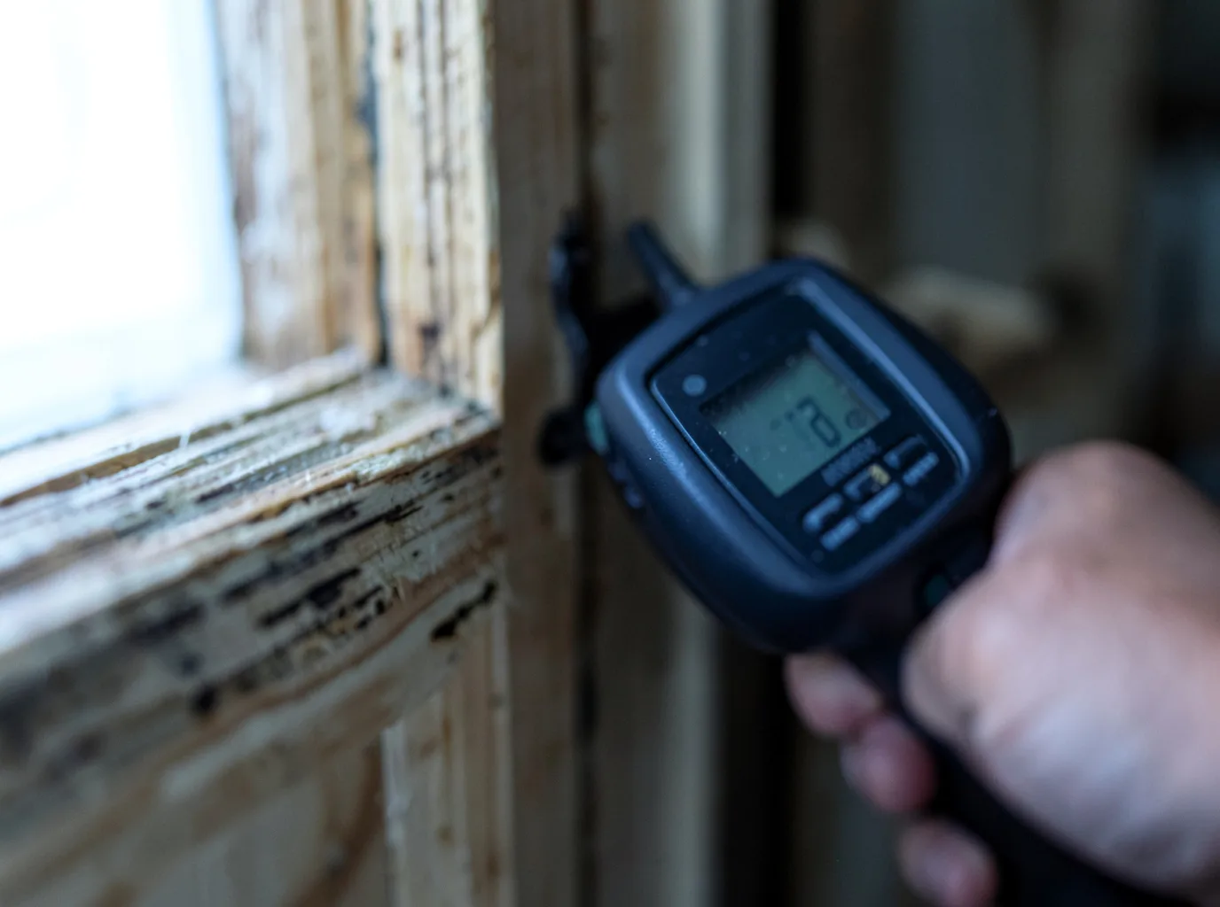 Moisture Inspection And Documentation in Leakesville, MS